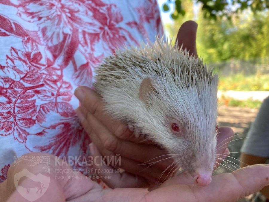 ����: yuga.ru