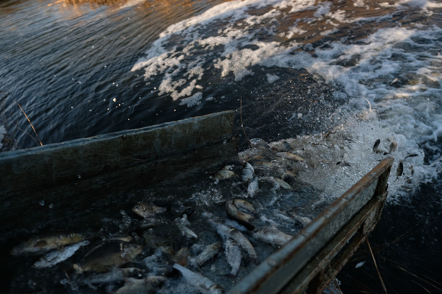  media yuga https hspace left align vspace ������� 