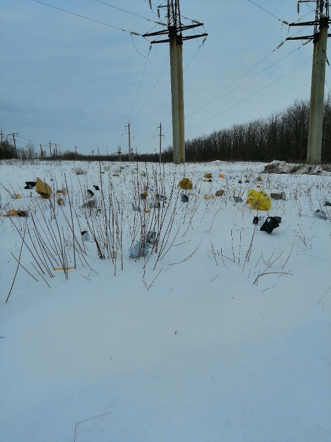  �������� ����� ������ ������� 