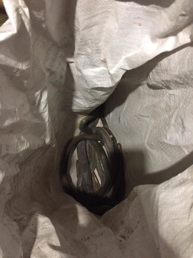  media yuga https hspace align left ���� vspace 