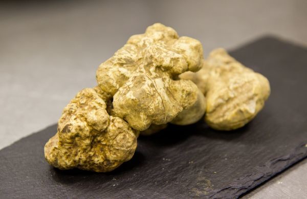  ���� ������� ������ ����� ����� ���� ���� 