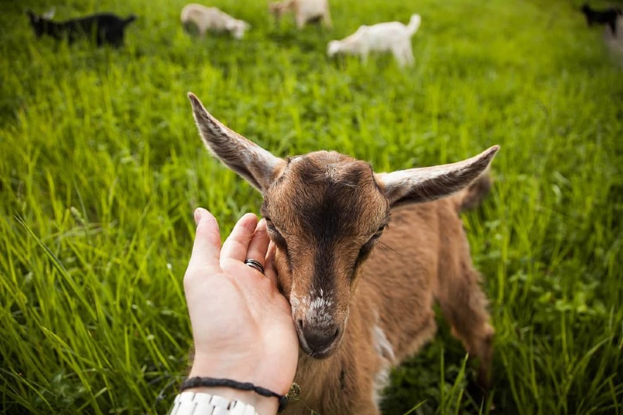 ����: yuga.ru