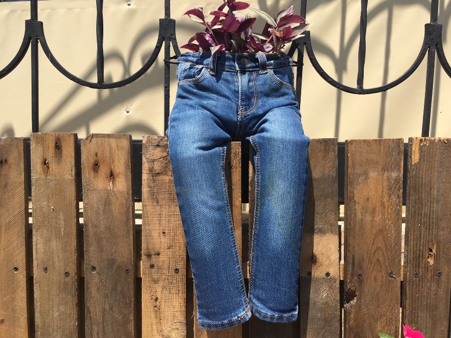  media yuga https hspace left vspace align 