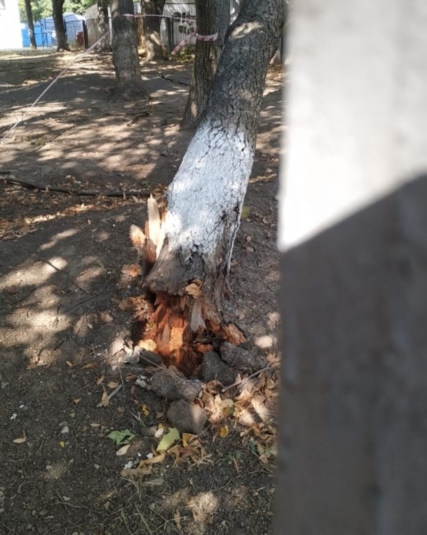  2020 ���������� 