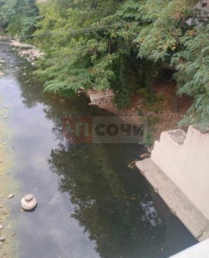  ���� ���� ����� ���� ������� 