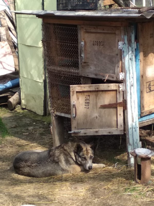  hspace vspace media yuga https align left ������ 