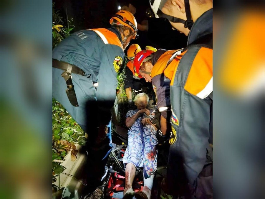  ���� ���� ����������� 95-������ ����������� 