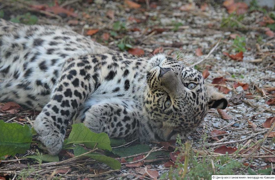  ��������� ������ 