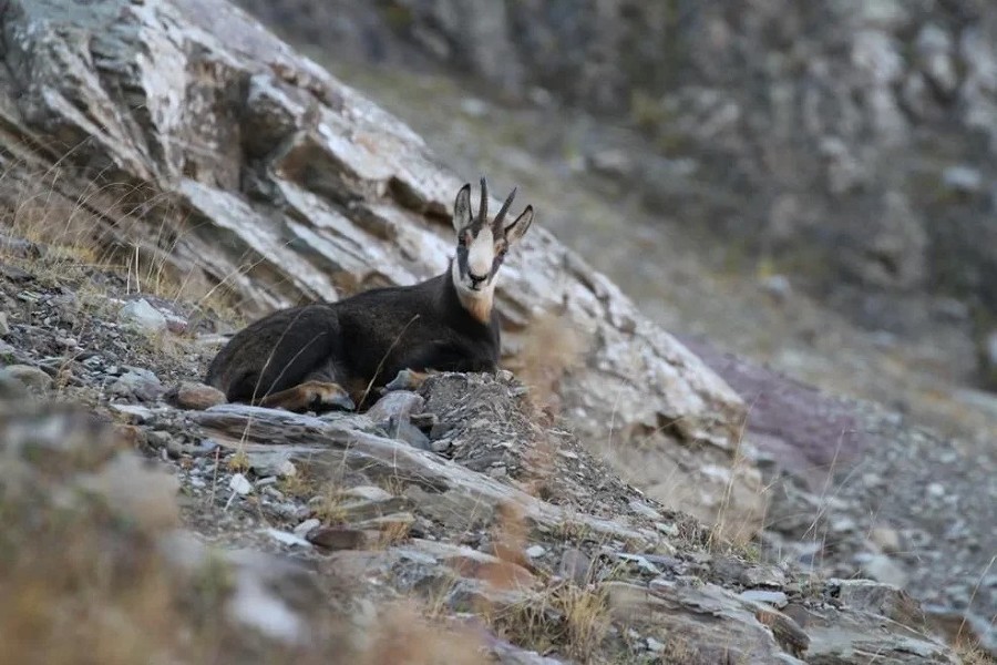  media yuga https hspace left align vspace 