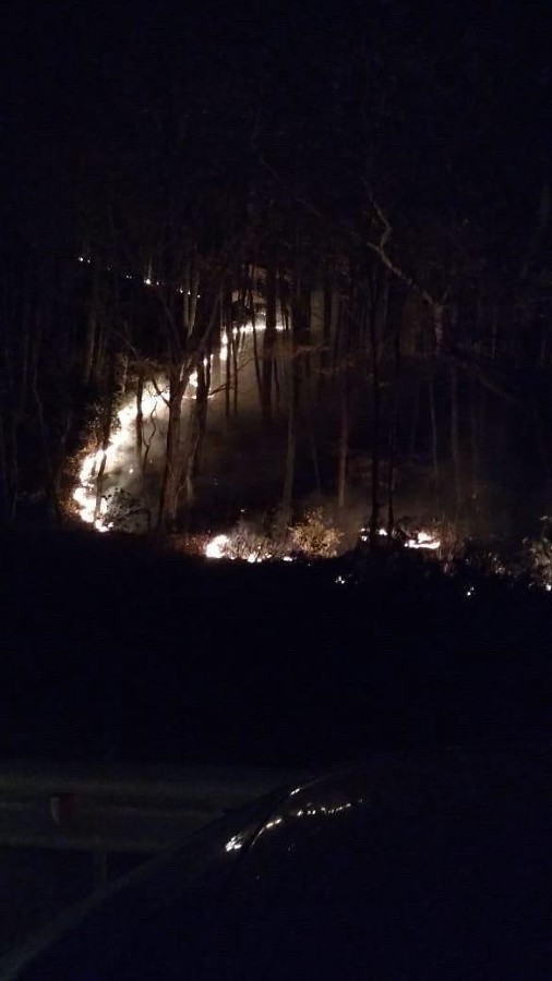  media yuga https hspace left align vspace 