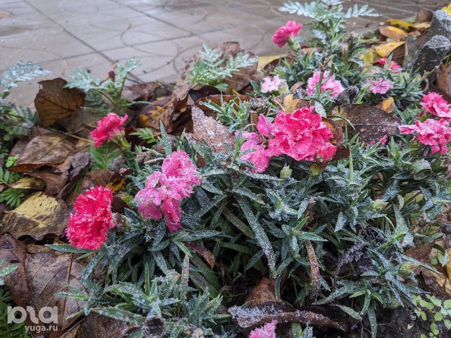 ����: yuga.ru