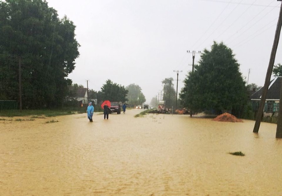  ����� ����� 