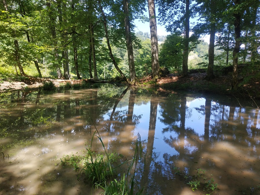 ����: yuga.ru