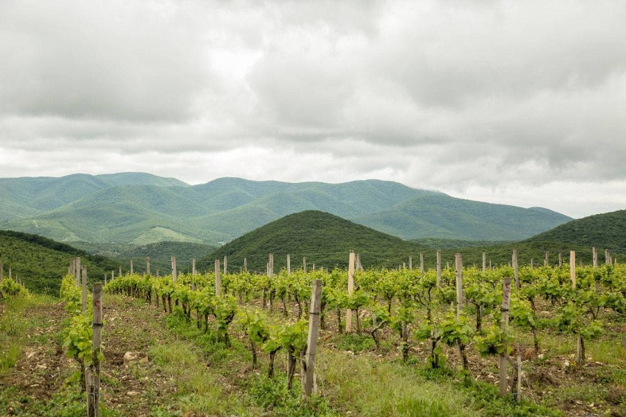  ����� ����� ������� ������� ������ �������������� 