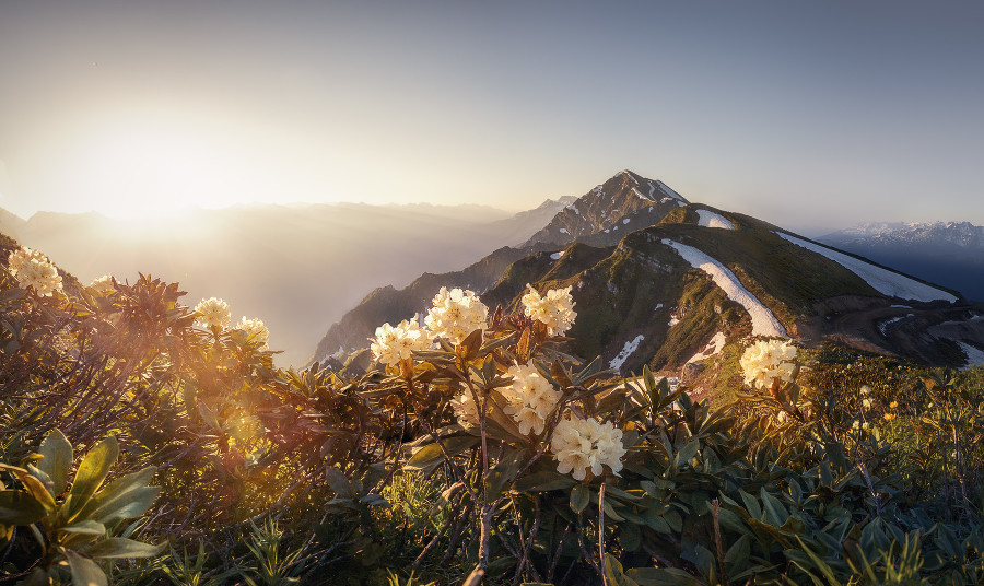 ����: yuga.ru