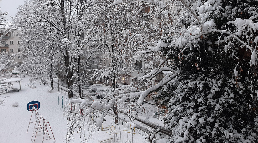  ������ ����� ������� ���� 