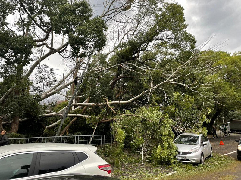 ����: yuga.ru