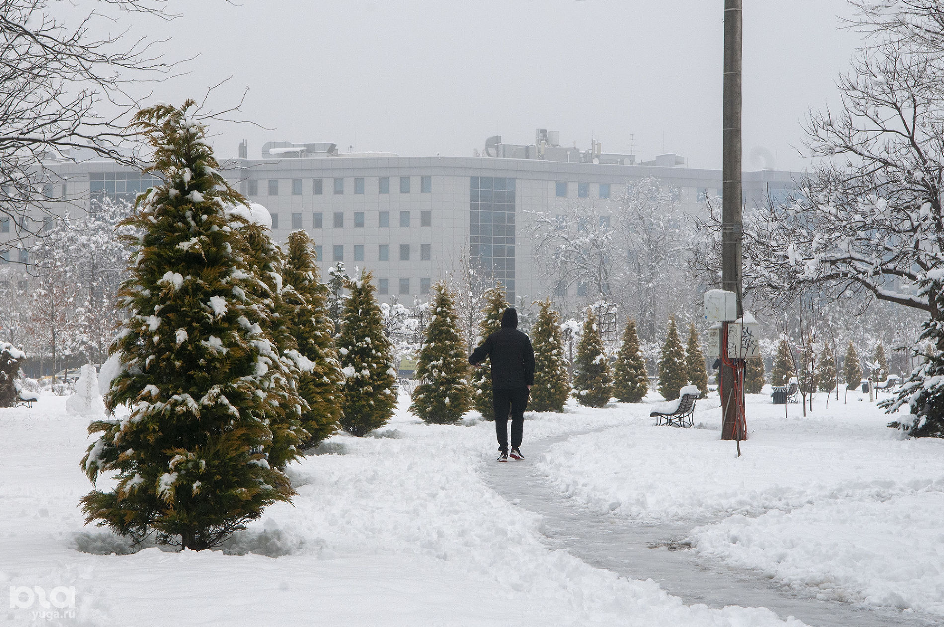 Зима в Краснодаре без снега