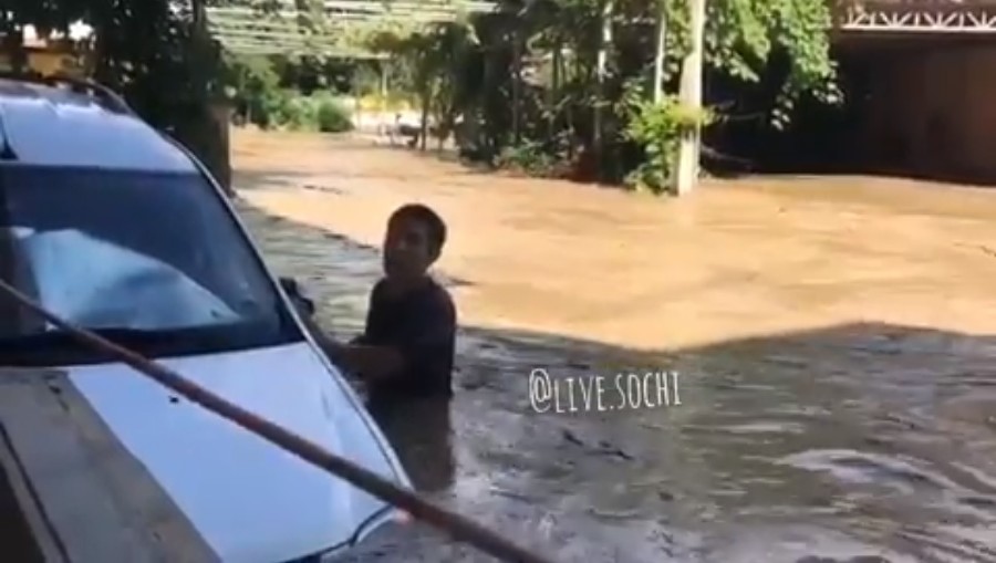  ����� ���� 