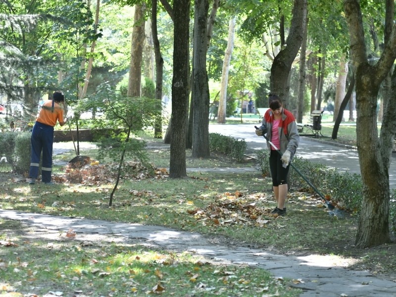  media yuga hspace left align vspace https 