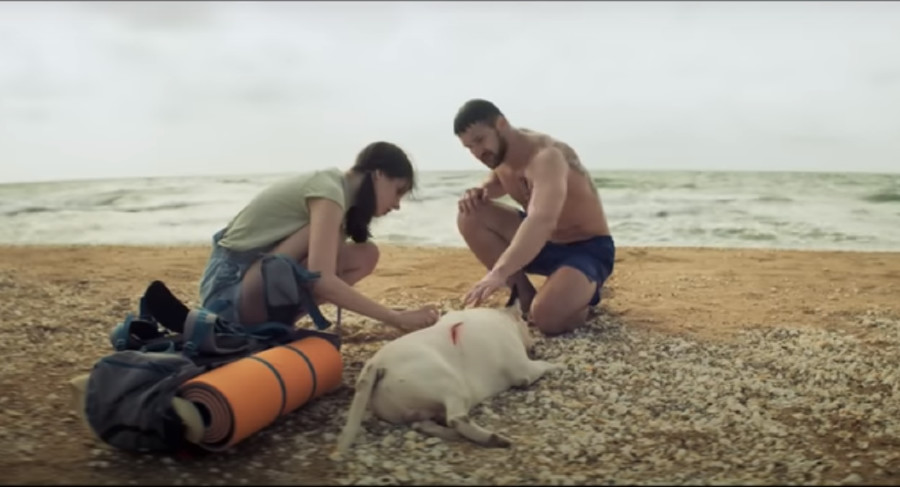  ������ ���������� ���������� ���� 