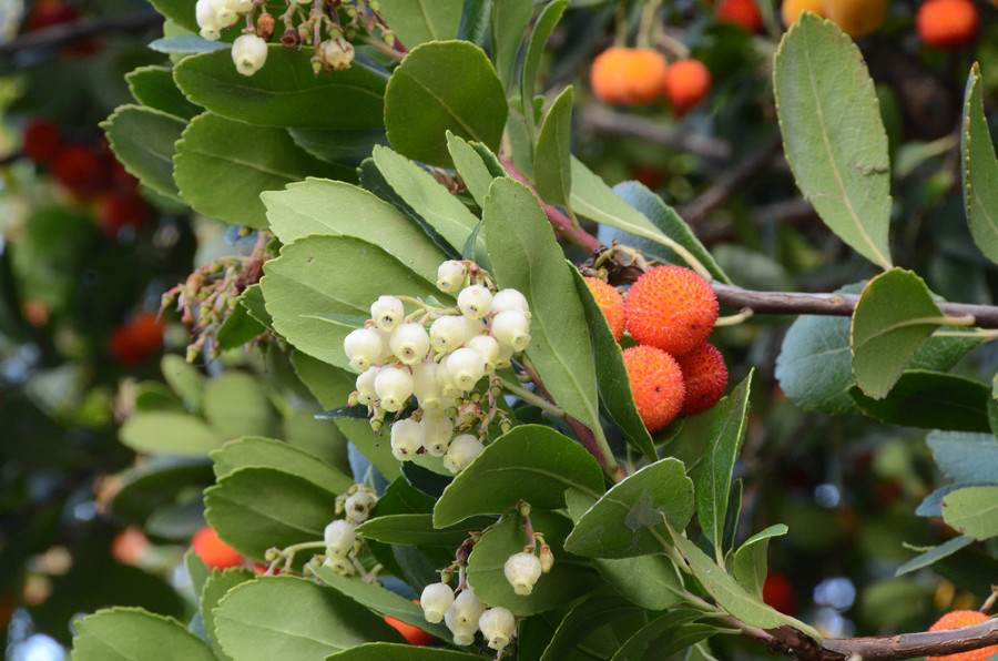  media yuga https hspace left align vspace 