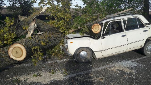  ���������� ������� ������ ���������� ��������� �������� 