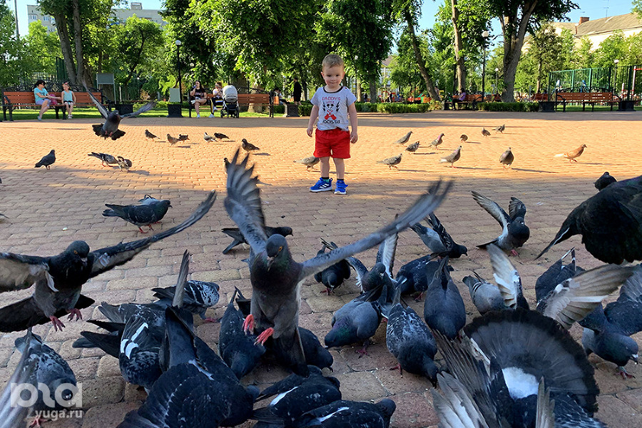 ����: yuga.ru