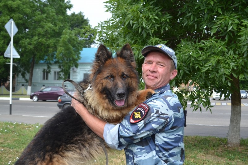  ������������� ������ ������� ���� ������� �������� ����� 