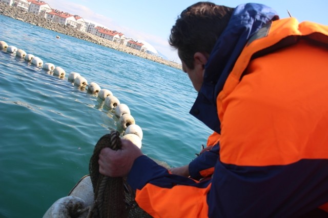 ����: yuga.ru