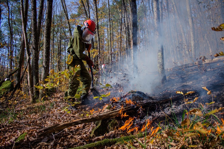  hspace vspace media yuga https align left screenshot 