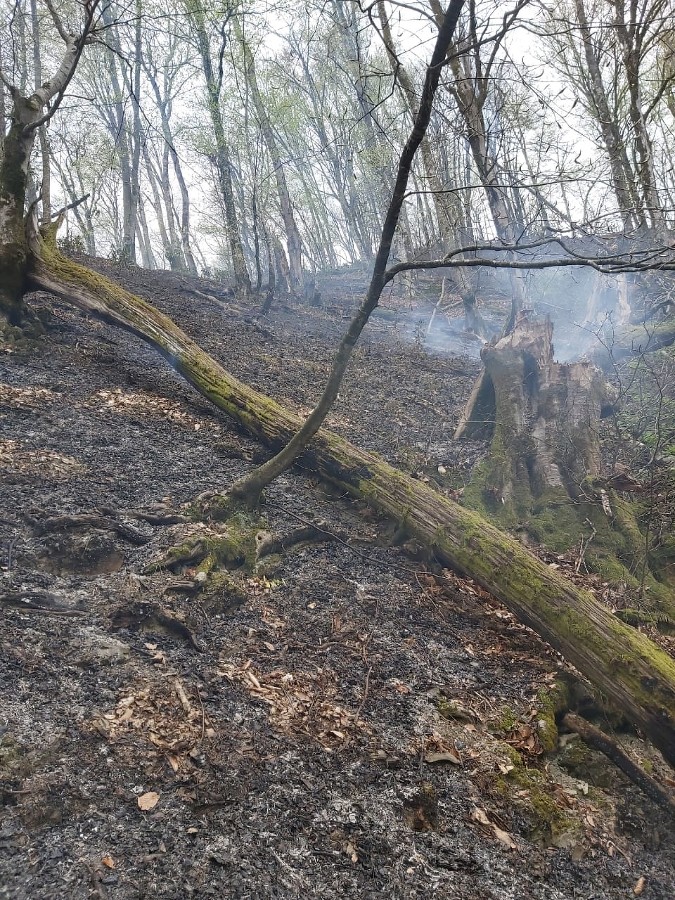 ����: yuga.ru