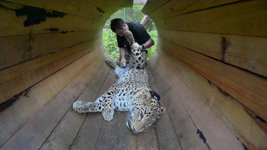 � ���� ����� �������� ������ �������� � ����� �������