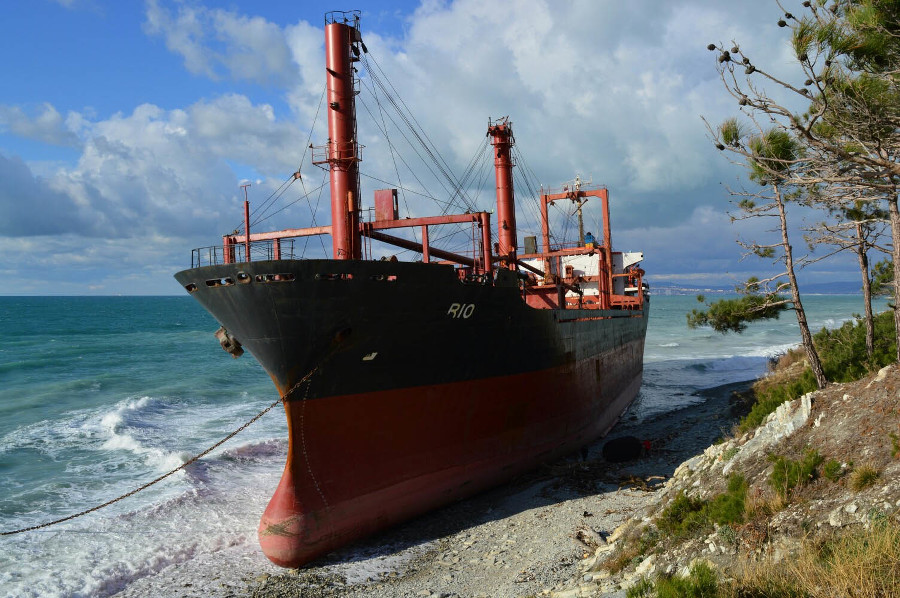  rio �������� ������� ���� 