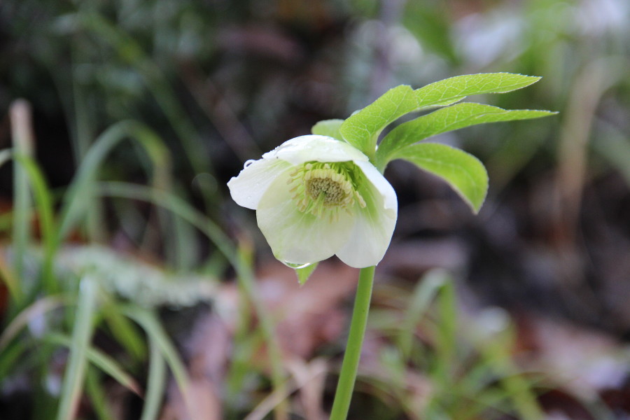 ����: yuga.ru