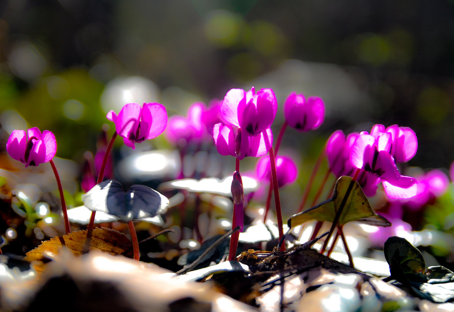 ����: yuga.ru