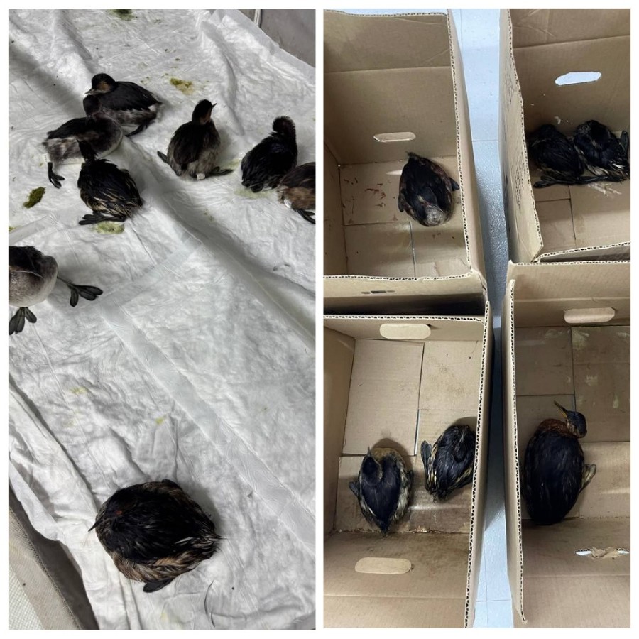 ����: yuga.ru