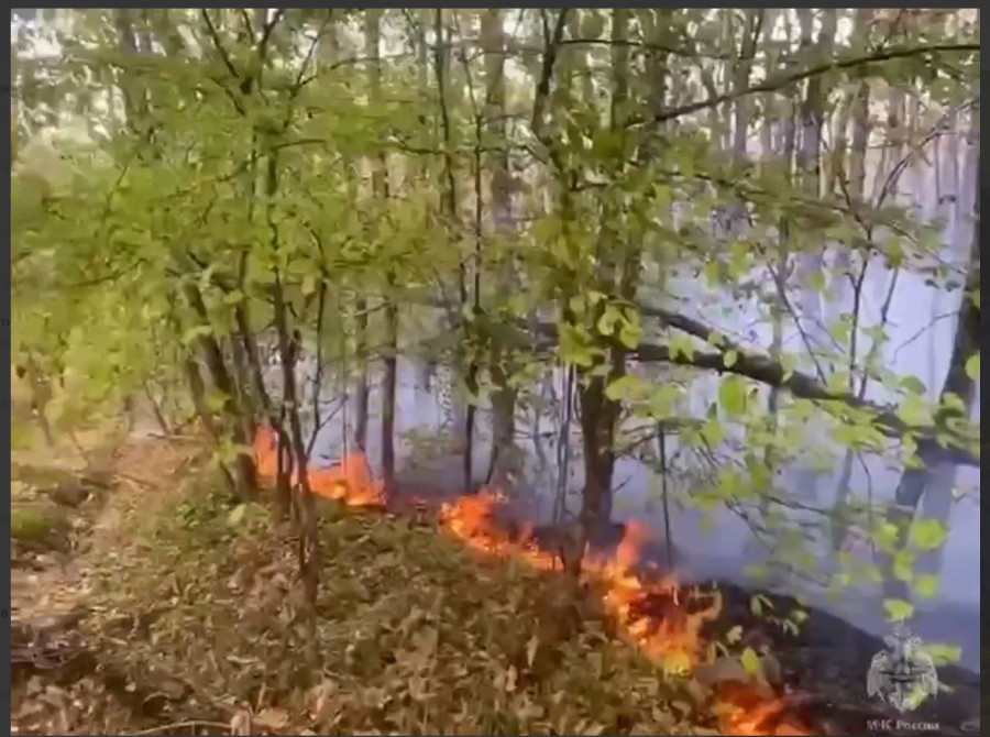 ����: yuga.ru