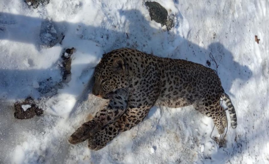  left align vspace hspace https yuga media ���������� 