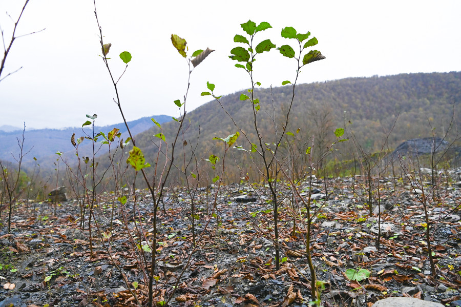 ����: yuga.ru