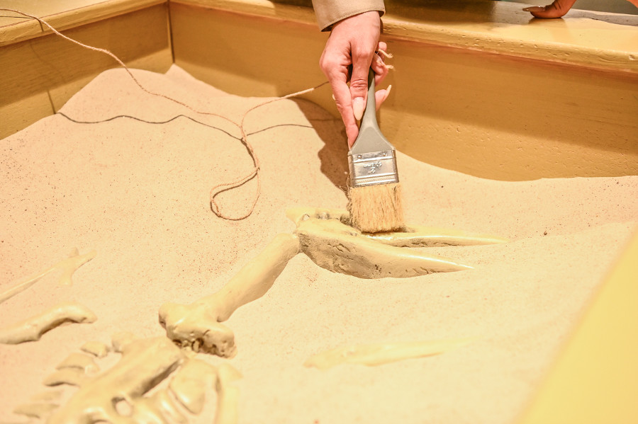  media yuga vvk left align vspace hspace https 