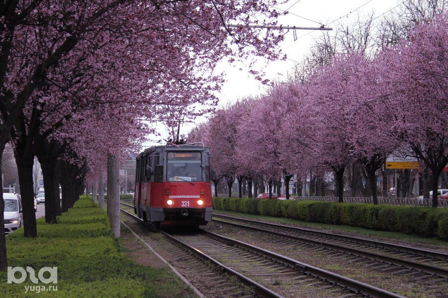  ������ ������������� ���� ��������� ������ 