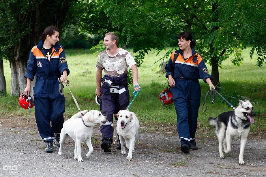  12-������� ���������� 