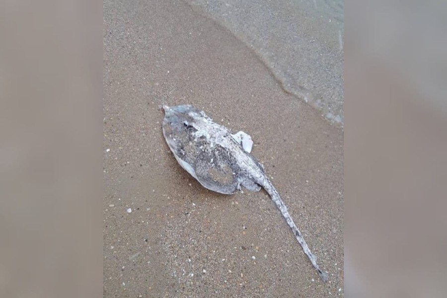 ����: yuga.ru