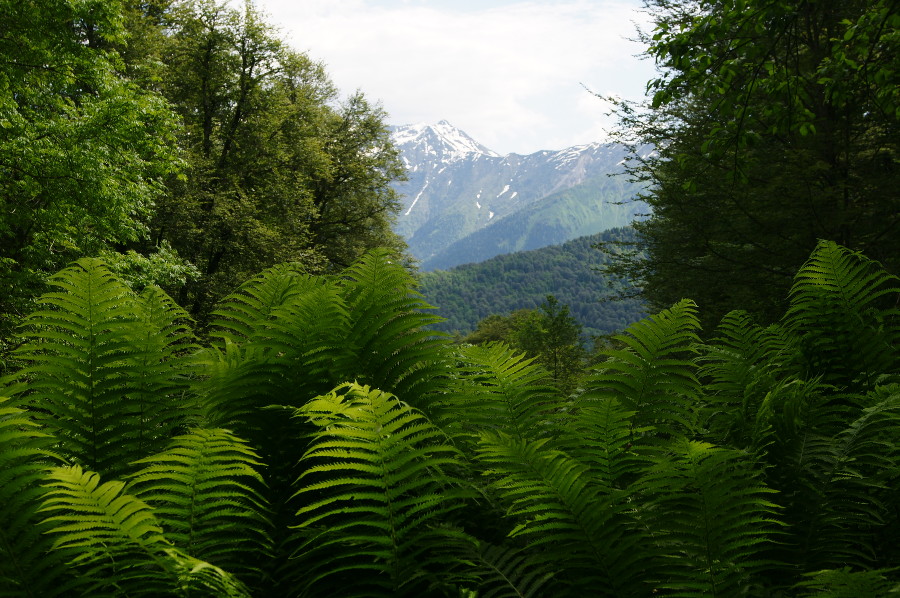  hspace vspace align media yuga https left �������� 