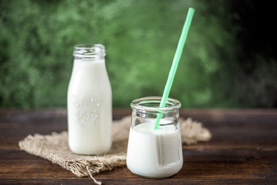 Адыгейские ученые изобрели новый напиток из козьего молока