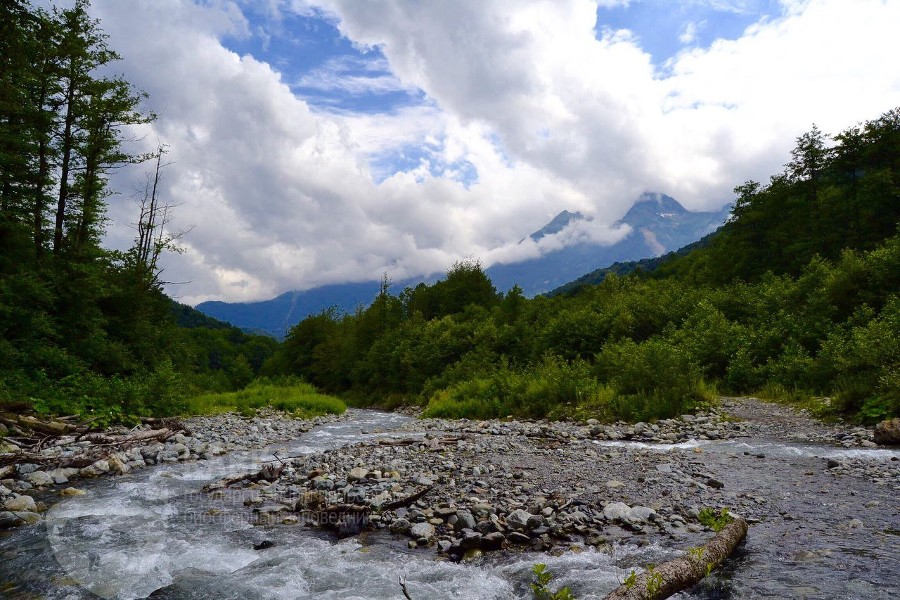  ���������� ����������� ���������� ������ ��������� 