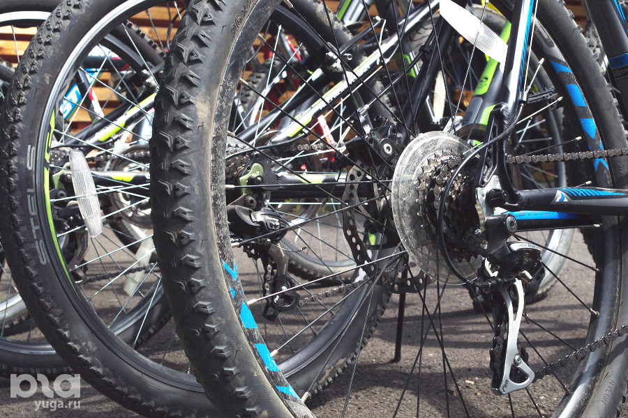 � ����� � ������ ������� ������������� ���������