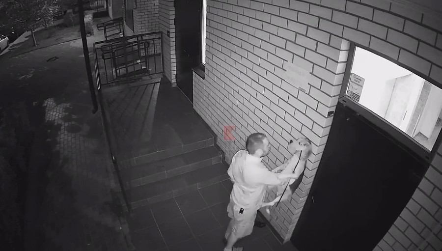  ���������� ������� ����� ������� ������ ������ ������� ������ 