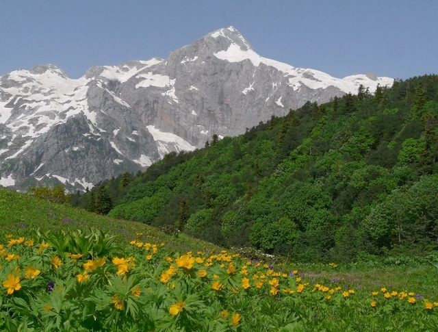  ������ ������������� ���� ��������� ��������� ������ �������� 